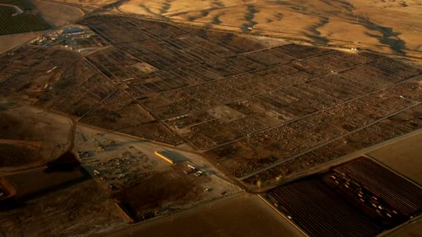 Vista Aerea Una Grande Mangiatoia Bovini Gli Animali Sono Responsabili — Video Stock