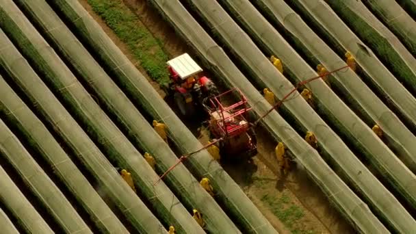 Aerial View Farming Tractor Spraying Field Sprayer Herbicides Pesticides Sunset — Stock Video