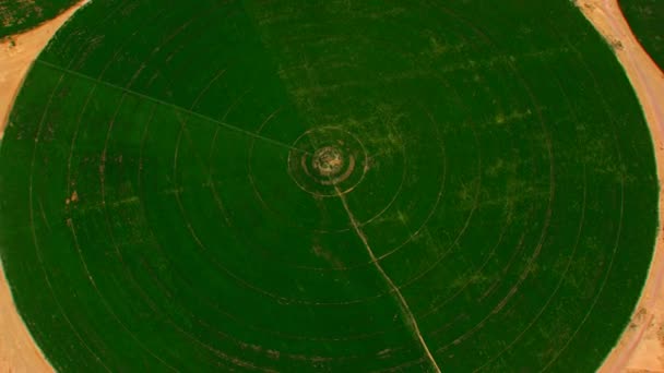 円の形で大規模なフィールドの高さの空中ビュー 畑を耕し水をやる — ストック動画