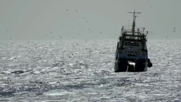 Rybářská Loď Plující Modrých Vlnách Oceánu Slunečného Počasí Rybářská Vlečná — Stock video