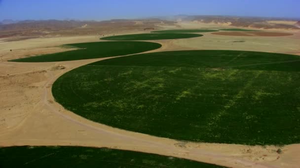 以圆形形式出现的大视场高度的空中视图 耕作和浇灌农田 — 图库视频影像