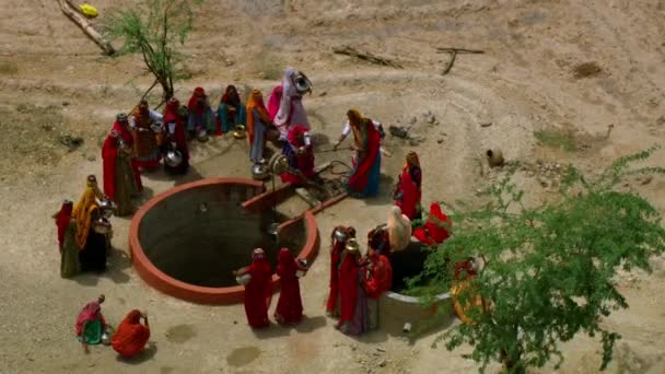 Jaisalmer India November 2015 Unidentified Indigenous Women Draw Well Fill — Stock Video