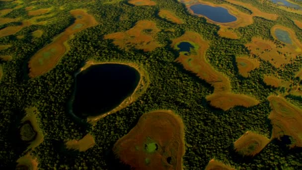 日落时满是沼泽和海藻的田野的空中景观 — 图库视频影像