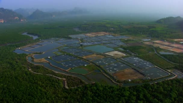 Vista Aérea Piscicultura Com Lagoas Crescendo Peixes Camarão Outros Frutos — Vídeo de Stock