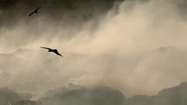 Mumbai India November 2016 Працівники Зрадники Обробляють Відходи Landfill Deonar — стокове відео