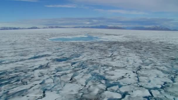 Gunung Gletser Pemandangan Udara Retak Crevasse Melelehkan Daerah Pegunungan Udara — Stok Video