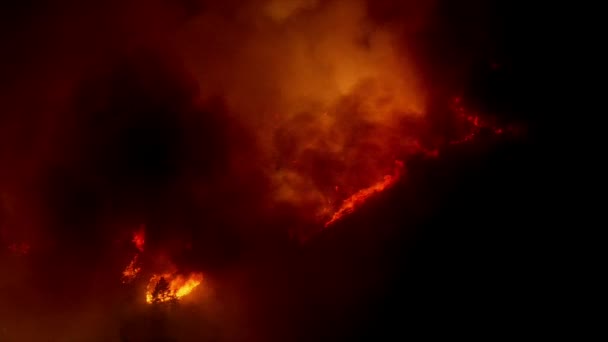 Luchtfoto Van Bomen Vlammen Bosbranden Alaska Die Luchtvervuiling Veroorzaken Verwoesten — Stockvideo