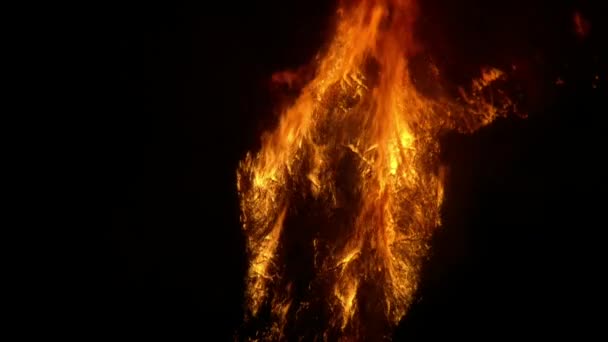 Vista Aérea Árvores Chamas Incêndios Florestais Alasca Destruindo Causando Poluição — Vídeo de Stock