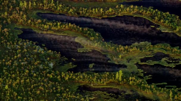 Vista Aérea Belas Águas Verdes Lago Vista Panorâmica Lago Cênico — Vídeo de Stock