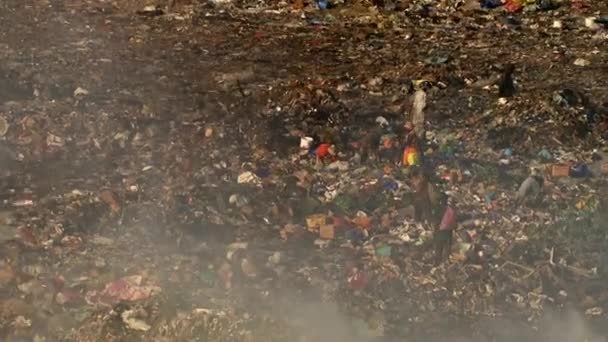 Mumbai India Kasım 2016 Deonar Çöplüğündeki Çöplükte Çalışanlar Leş Yiyiciler — Stok video