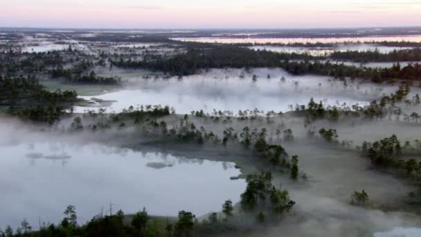 Naturskön Utsikt Över Sjön Dimmigt Väder Skogen — Stockvideo