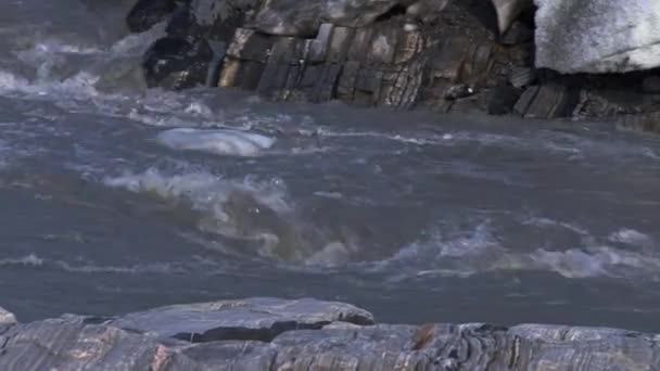 Close Água Glacial Escoamento Fluindo Através Dos Campos Gelo Como — Vídeo de Stock