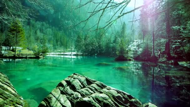 여름에는 호수의 아름다운 풍경을 공중에서 수있고 가을의 아침에는 수있다 청록색 — 비디오