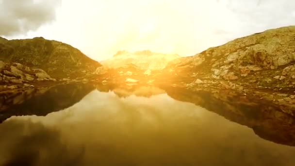 Повітря Вид Білі Ромашкові Квіти Поле Лугова Гора Озеро Дрон — стокове відео