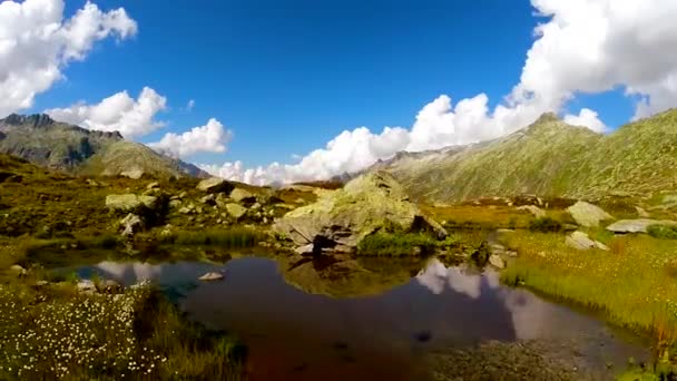 Widok Lotu Ptaka Białe Stokrotki Pole Łąka Góry Jeziora Dron — Wideo stockowe
