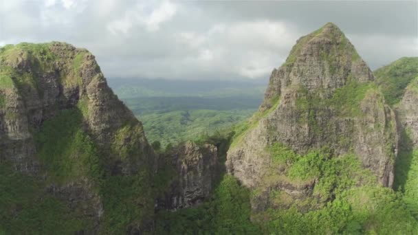 Drone Disparó Volando Sobre Hermosa Cresta Montaña Nubes Bosque Selva — Vídeos de Stock