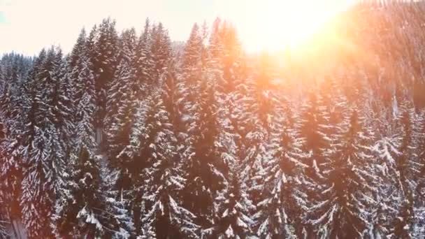 Kış Manzarası Güzel Karlı Dağlar Kuzey Manzarasına Yakın Bir Yerde — Stok video