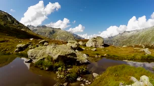 Vista Aérea Las Flores Margarita Blanca Campo Prado Montaña Lago — Vídeos de Stock