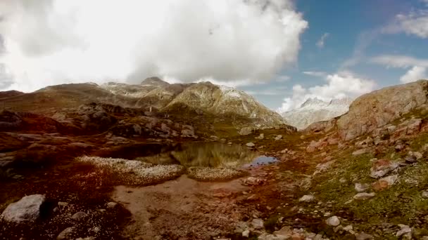 Veduta Aerea White Daisy Fiori Campo Prato Montagna Lago Drone — Video Stock