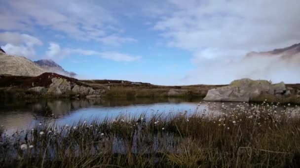 Flygfoto Över Vita Tusensköna Blommor Fält Äng Berg Och Sjö — Stockvideo