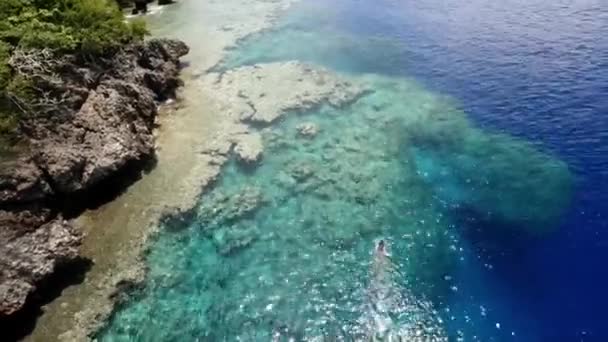 Vista Aérea Superior Del Hombre Buceando Mar Claro Hermoso Arrecife — Vídeos de Stock