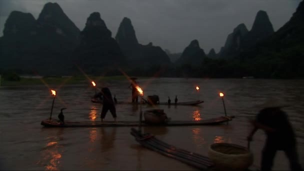 Kinesiskt Traditionellt Fiske Med Skarvar River Guilin Guangxi Province Kina — Stockvideo