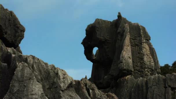 Primer Plano Shilin Formaciones Rocosas Piedra Caliza Shilin Parque Forestal — Vídeos de Stock
