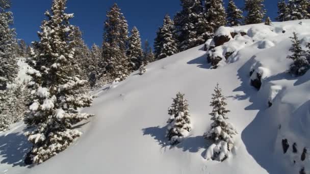 Luftaufnahme Der Antarktis Aerial Majestic Landscape Schneebedeckte Arktische Extreme Natur — Stockvideo