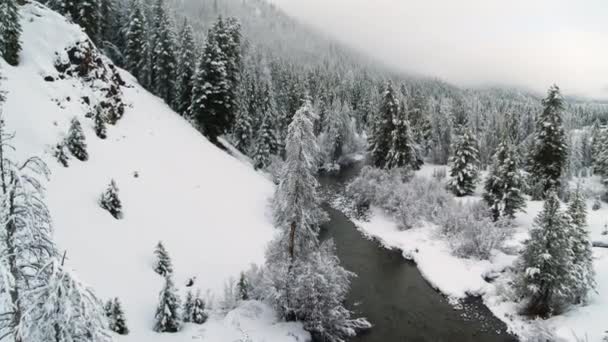 Luftaufnahme Der Antarktis Aerial Majestic Landscape Schneebedeckte Arktische Extreme Natur — Stockvideo