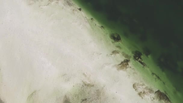 Drone Vista Della Spiaggia Paradiso Tropicale Con Sabbia Bianca Acqua — Video Stock