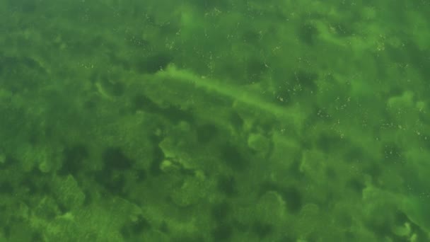 Drone Vista Della Spiaggia Paradiso Tropicale Con Sabbia Bianca Acqua — Video Stock