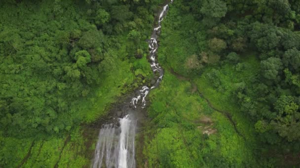 Wasserfall Regenwald Nahe Dem Vulkan Arenal Costa Rica Mittelamerika Schöne — Stockvideo