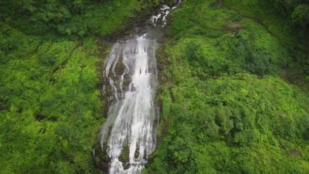 Водоспад Вологому Тропічному Лісі Поблизу Вулкана Аренал Коста Риці Центральна — стокове відео