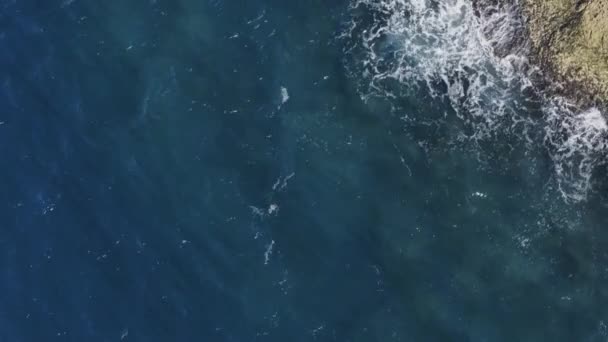 Drone Widok Tropikalnej Plaży Raj Białym Piaskiem Turkusowej Wody Oceanie — Wideo stockowe