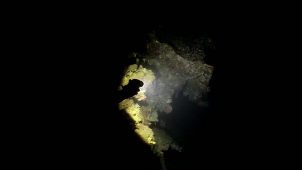 Scuba Dalgıçları Mağara Manzarasında Fener Işığıyla Mağara Dalışı Yapıyor — Stok video