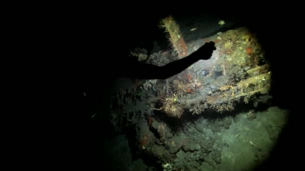 Dykkere Udforske Grotte Dykke Med Fakkel Lys Hulen Ocean Sceneri – Stock-video