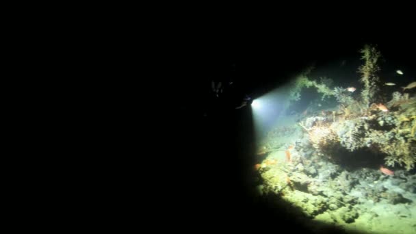 Dykkere Udforske Grotte Dykke Med Fakkel Lys Hulen Ocean Sceneri – Stock-video