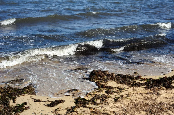 Costa del Mar Negro . — Foto de Stock