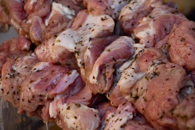 Şiş üzerinde salamura et, çiğ barbekü, arkadaşlarla piknik.