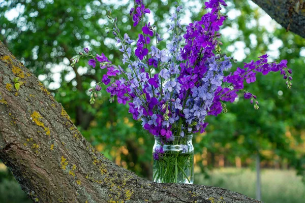 Piękny bukiet kwiatów domowych - niebieski i fioletowy delphinium w słoiku wody — Zdjęcie stockowe