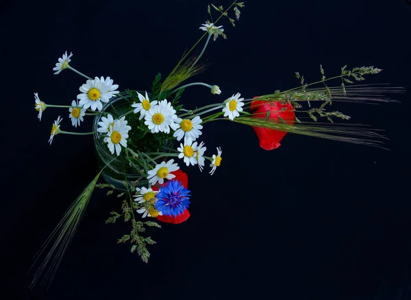 Цветочное оформление красных маков, маргариток, васильковых цветов и полевых цветов на черном фоне — стоковое фото