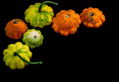 Siyah arkaplanda çok renkli balkabağı, sonbahar kompozisyonu, üst görünüm, metin için boşluk, kopyalama alanı