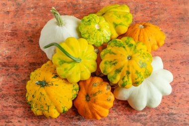 çok renkli balkabağı yakın plan, sonbahar kompozisyonu, üst görünüm