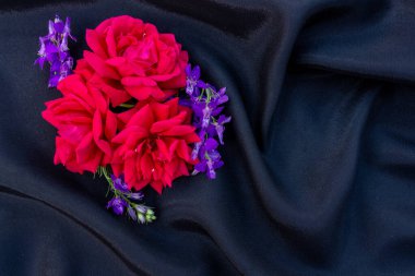 Siyah arkaplanda mavi çiçekli gül goncaları, metin kopyalama alanı için çiçek düzenleme düzlüğü
