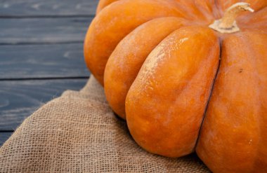 Siyah ahşap arka planda balkabağı, Cadılar Bayramı ya da Şükran Günü için natürmort, metin için boşluk, kopyalama alanı