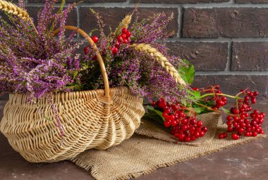 Hasır sepetin içinde sonbahar kompozisyonu, viburum ve buğday kulakları, durgun yaşam.