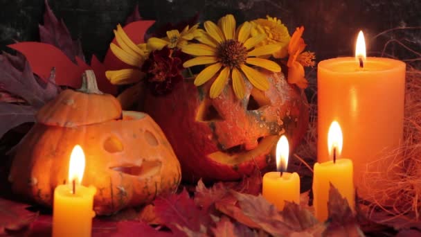 Halloween koncept, sammensætning af græskar og stearinlys på en sort baggrund, Jacks lanterne fra græskar – Stock-video