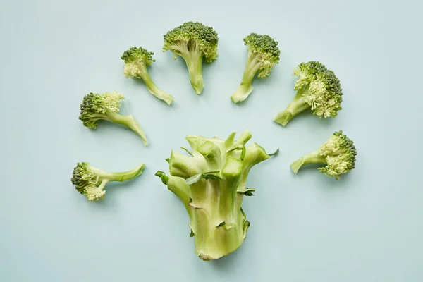 Organic creative broccoli on blue background. Proper nutrition concept. — Stock Photo, Image