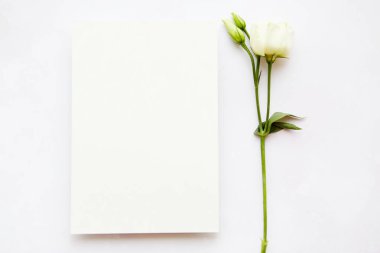 Çemberde pembe taç yaprakları ve çiçeklerle narin akışkan sanat arkaplanı. Sonsuzluk kavramı. Boşluğu kopyala