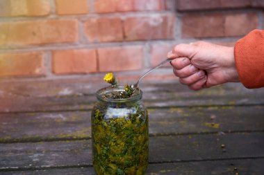 Karahindiba tentürü evde doğal bir homeopatik ilaçtır. Alkol katılmış karahindiba.